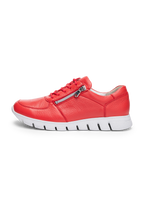 rot