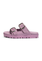lavendel