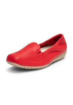 rot
