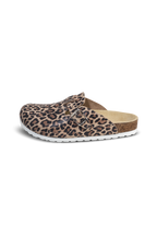 leopard