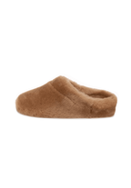 camel