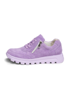 lavendel