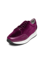 eggplant