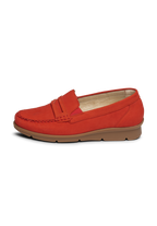 rot