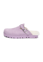 lavendel