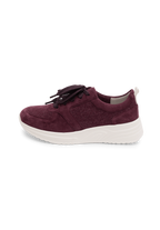 aubergine