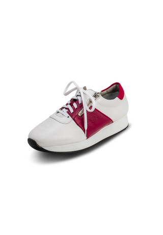 WBX_50