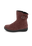 winterrosa