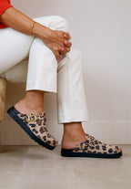 leopard