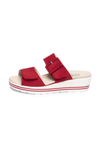 rot