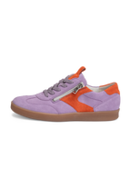 lavendel