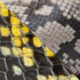 snake/lime